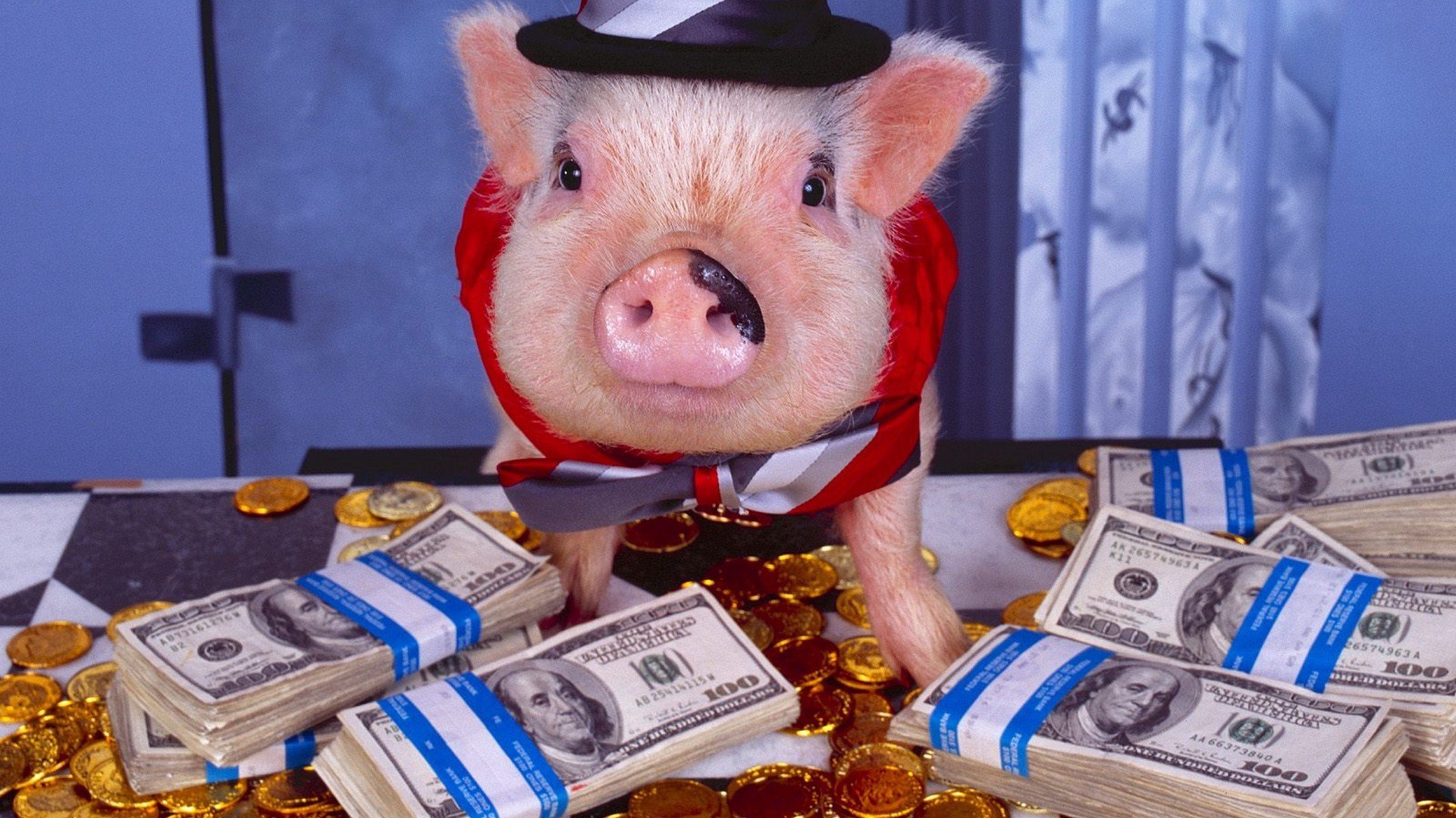 coins, Money, Pigs Wallpaper