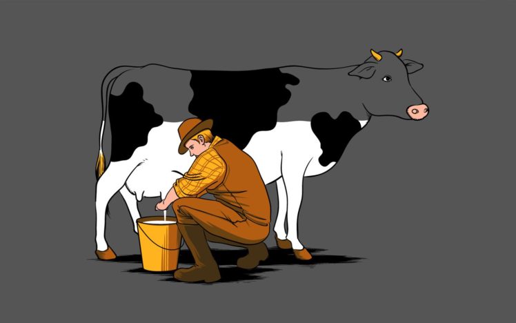 milk, Cows HD Wallpaper Desktop Background