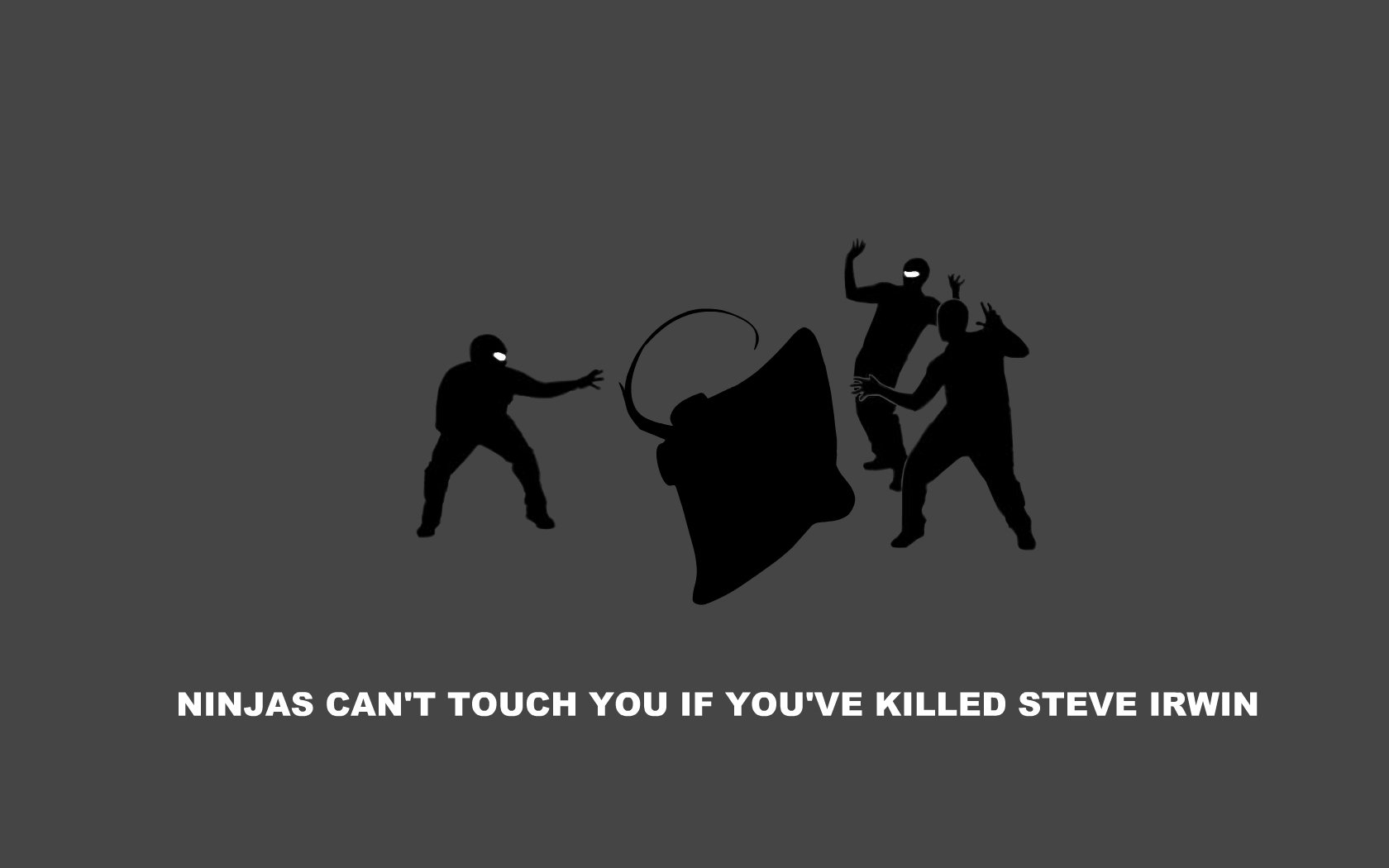 ninjas, Cant, Catch, You, If Wallpaper