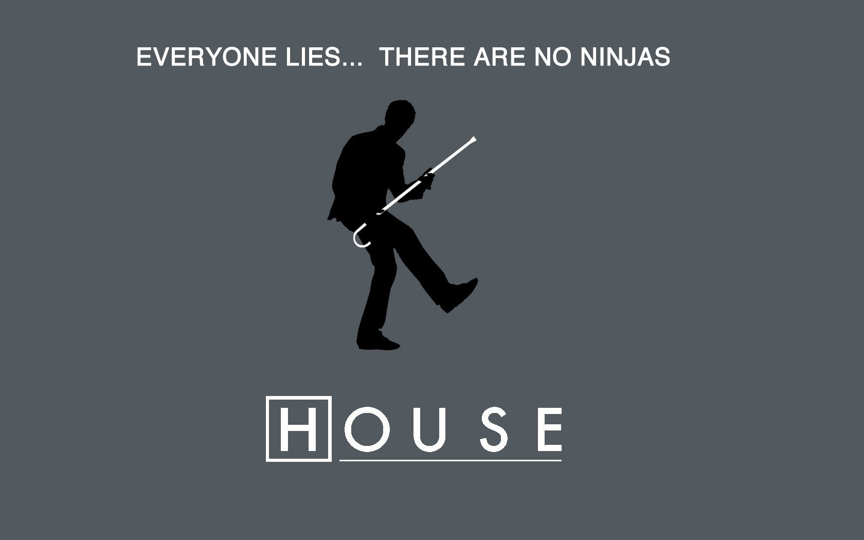 ninjas, Everybody, Lies, Gregory, House, House, M, Wallpaper