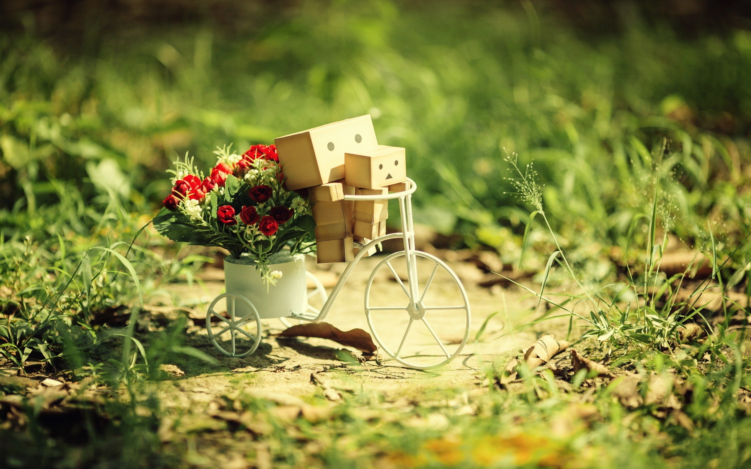 flowers, Grass, Danboard, Depth, Of, Field, Potted, Plant, Cycles Wallpaper