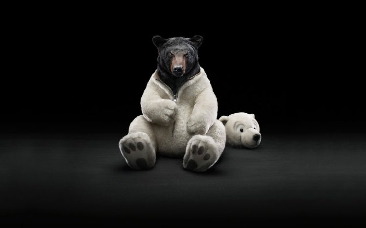 costume, Animals, Funny, Bears HD Wallpaper Desktop Background