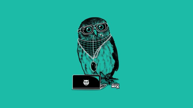 minimalistic, Glasses, Laptops, Owls HD Wallpaper Desktop Background