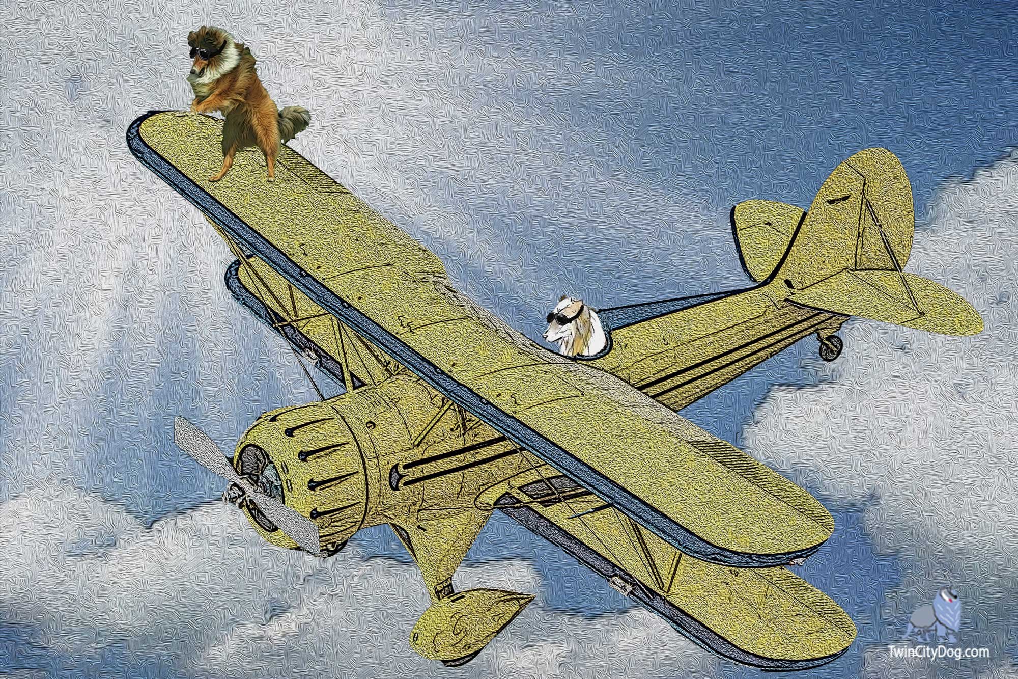 biplane, Airplane, Plane, Aircraft, Dog, Funny Wallpaper