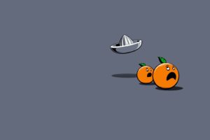 funny, Oranges