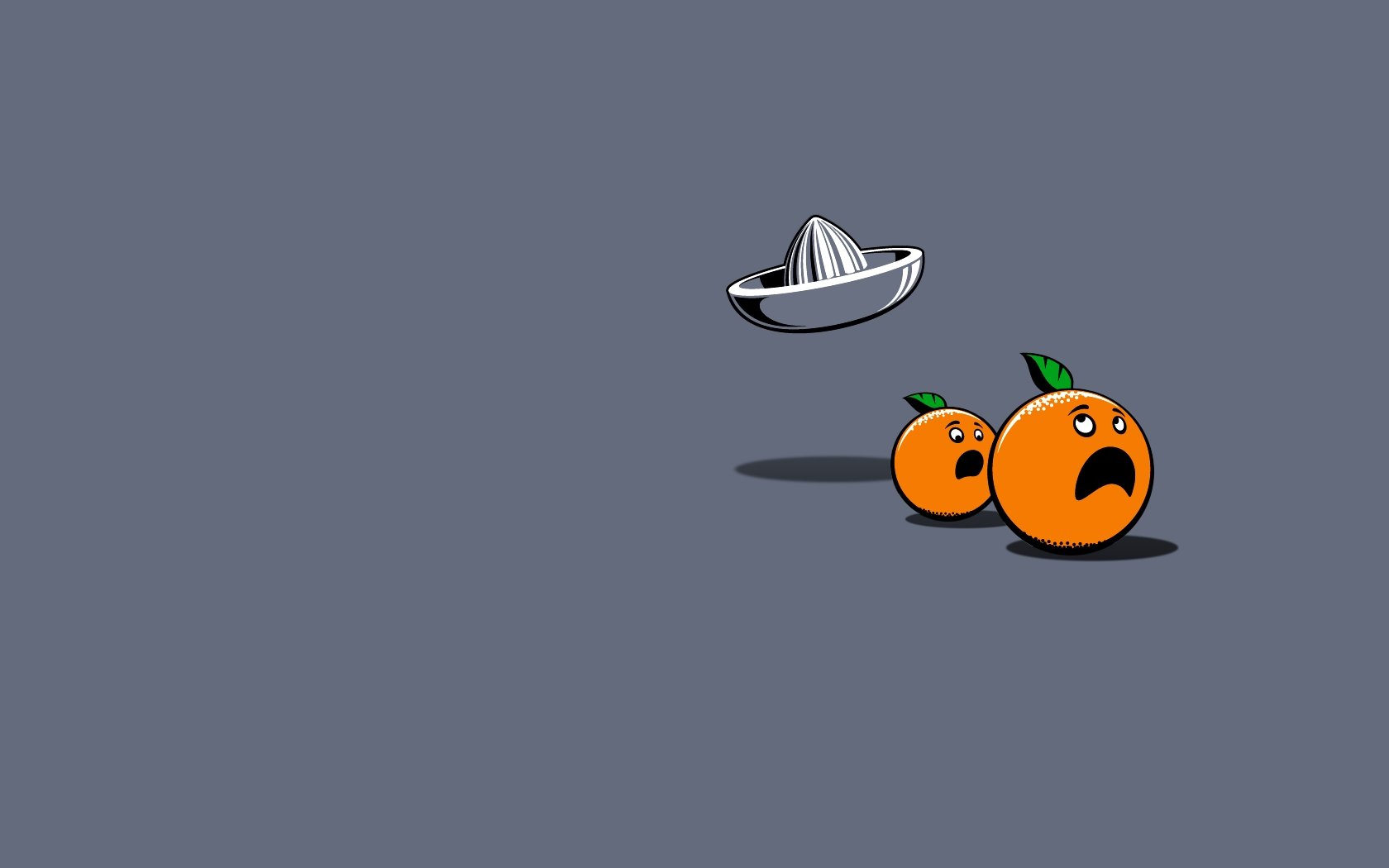 funny, Oranges Wallpaper
