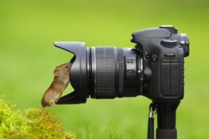 camera, Mouse, Lens