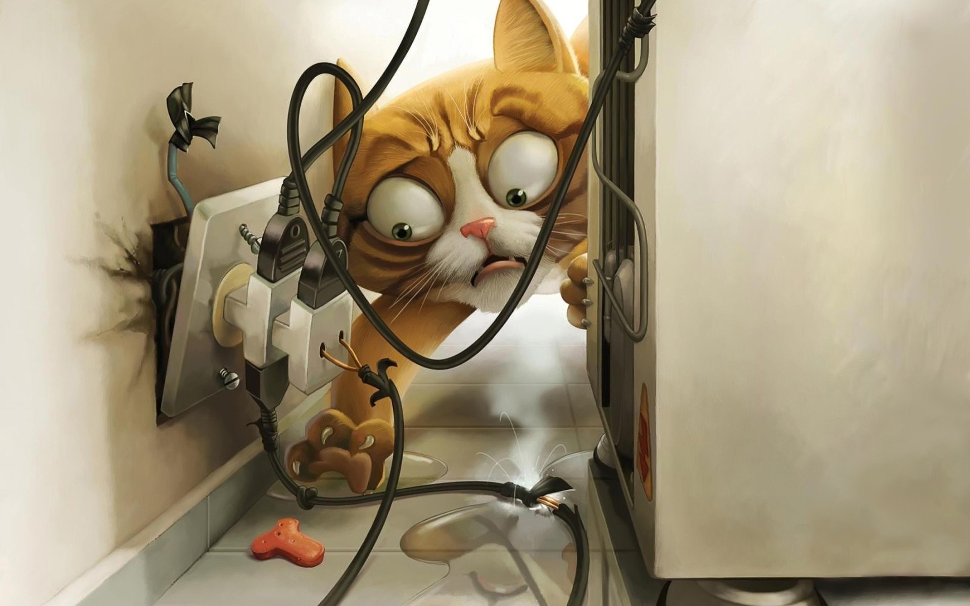 cats, Funny Wallpaper