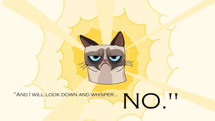 cat, Meme, Quote, Funny, Humor, Grumpy,  1 HD Wallpaper Desktop Background