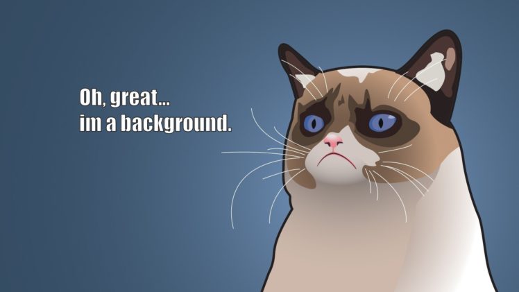 cat, Meme, Quote, Funny, Humor, Grumpy,  6 HD Wallpaper Desktop Background