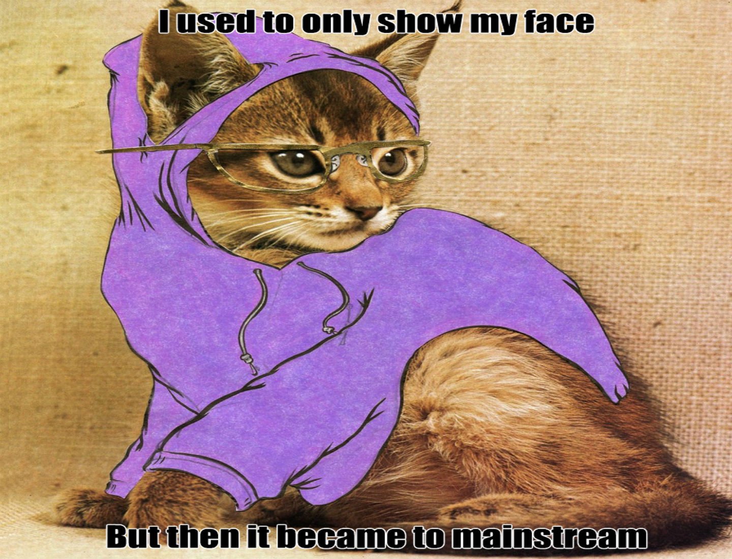 cat, Meme, Quote, Funny, Humor, Grumpy, 30 Wallpapers HD / Desktop and