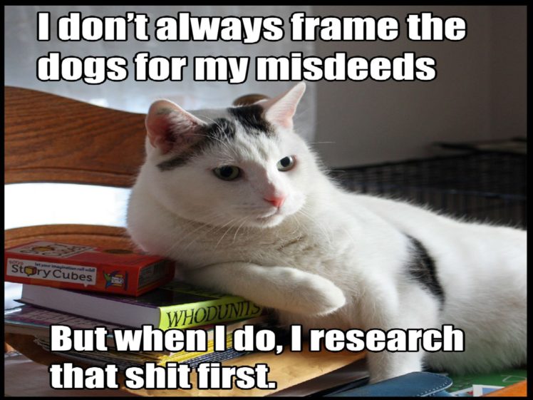 cat, Meme, Quote, Funny, Humor, Grumpy, Sadic Wallpapers ...