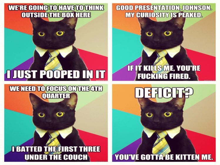 cat, Meme, Quote, Funny, Humor, Grumpy,  38 HD Wallpaper Desktop Background