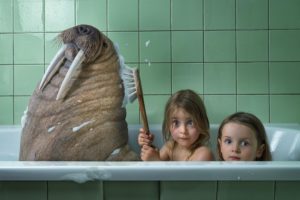 humor, Children, Animals, Walrus, Bath, Child