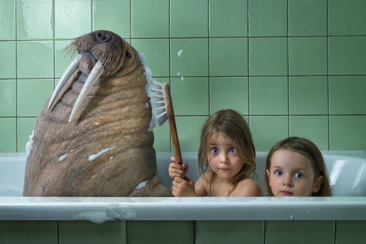 humor, Children, Animals, Walrus, Bath, Child HD Wallpaper Desktop Background