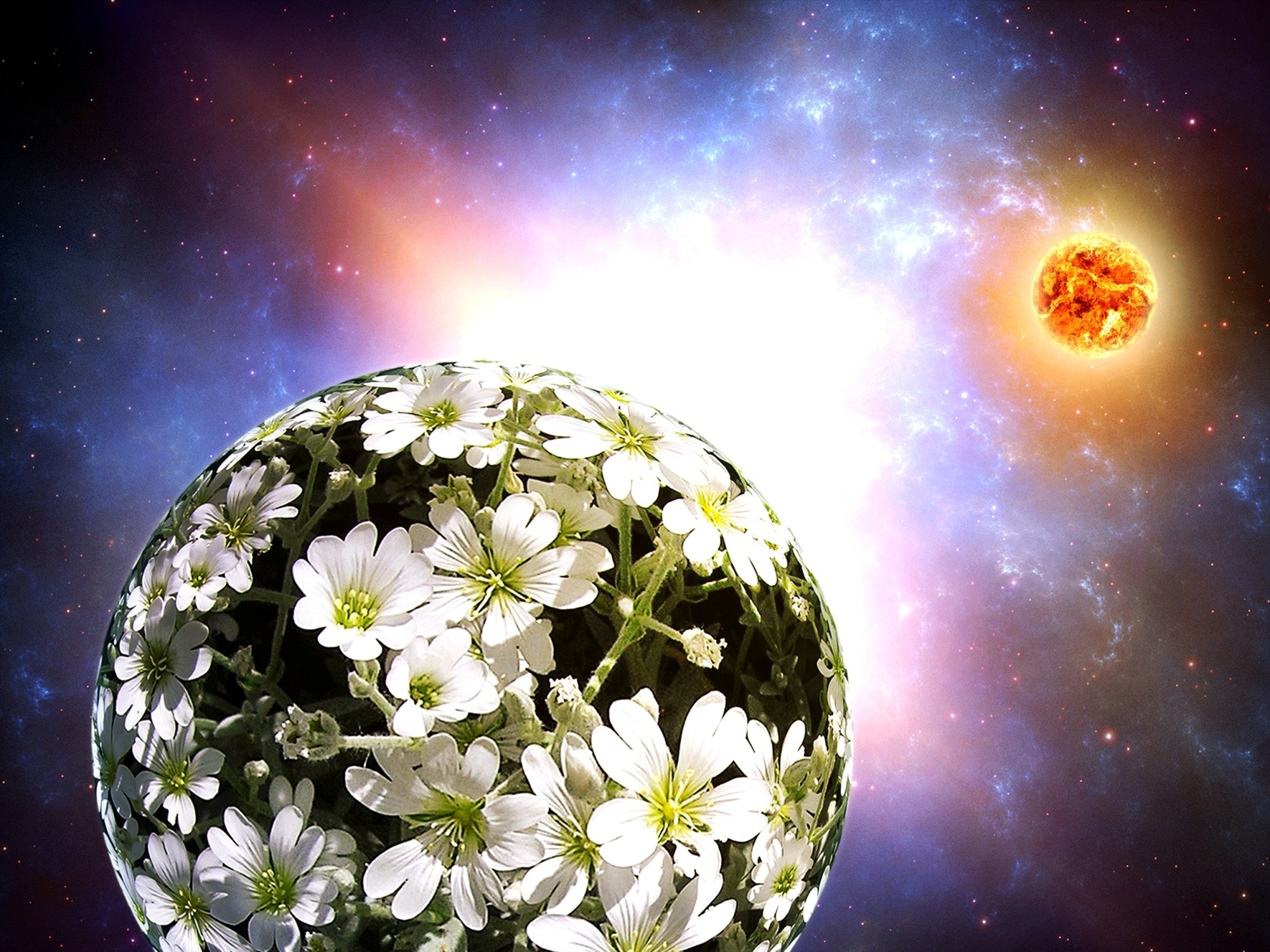 flowers, Cg, Digital, Art, Sci fi, Space, Planets, Sun, Stars, Nebula Wallpaper