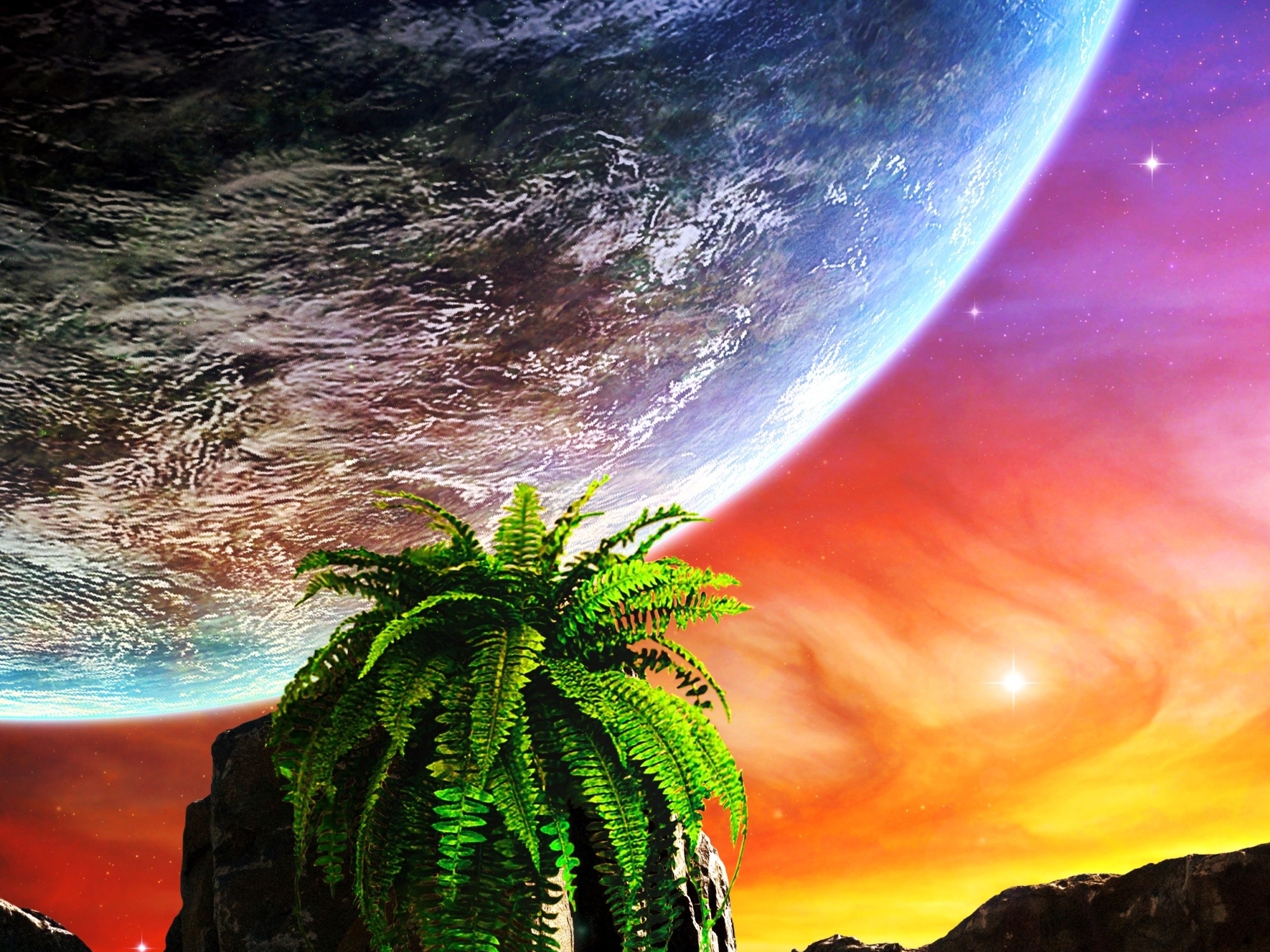 plants, Ferns, Cg, Digital, Art, Sci fi, Space, Planets, Stars, Sky Wallpaper