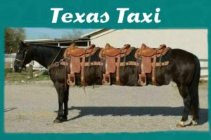 texas, Taxi