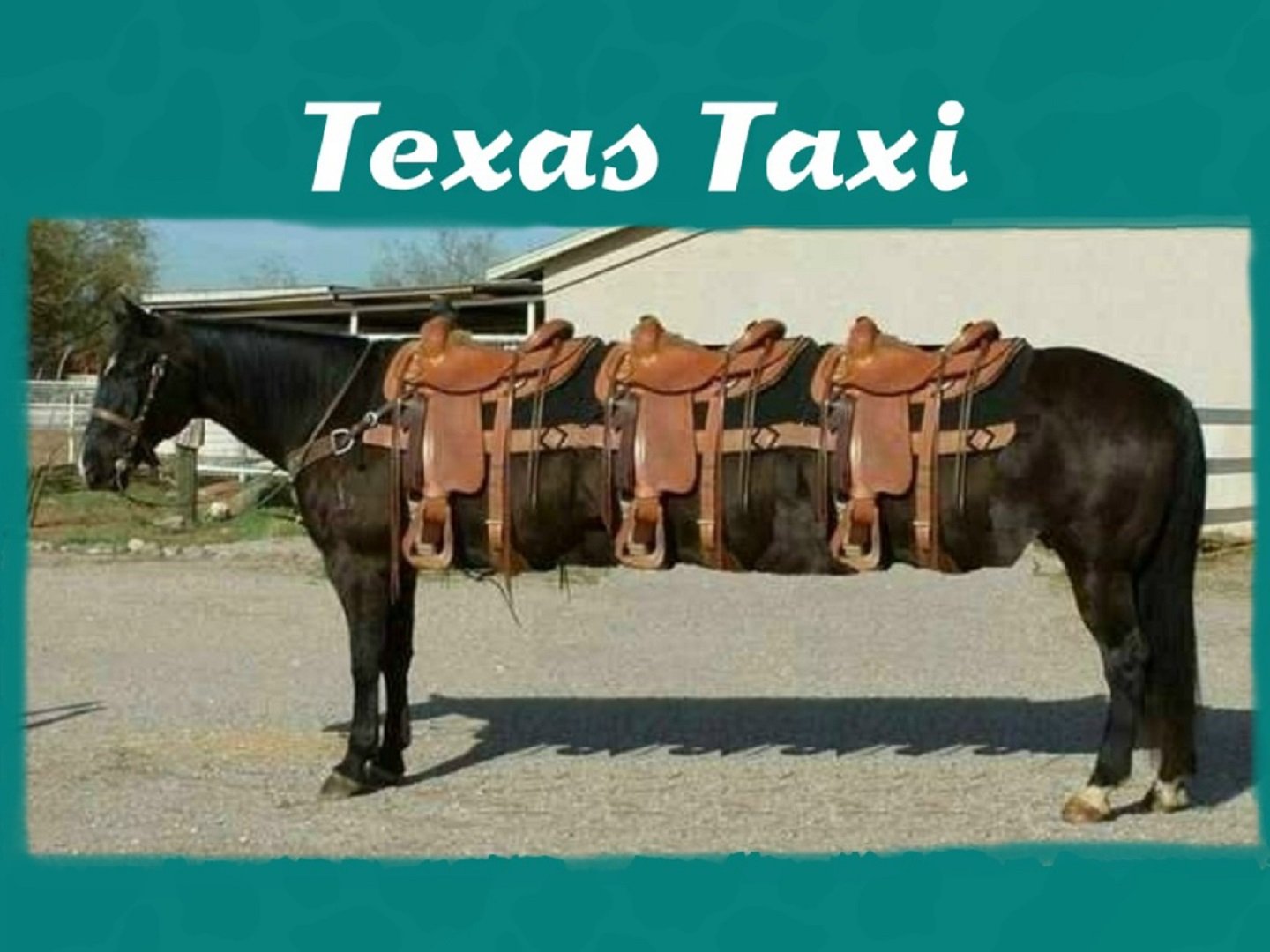 texas, Taxi Wallpaper