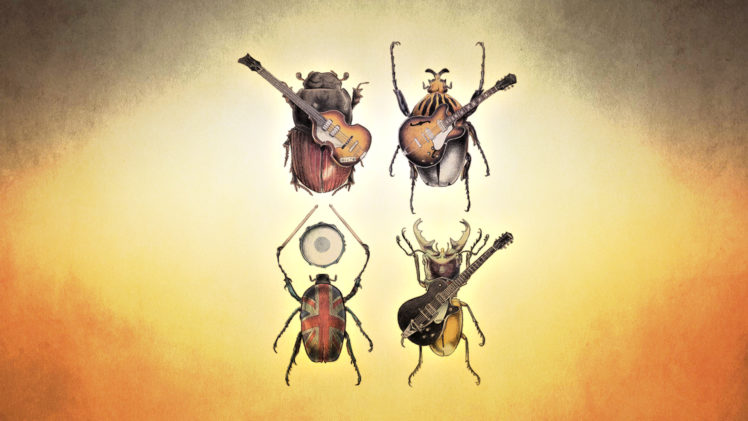 the, Beatles, Beetle, Insects, Guitar, Bands, Groups, Humor, Funny HD Wallpaper Desktop Background
