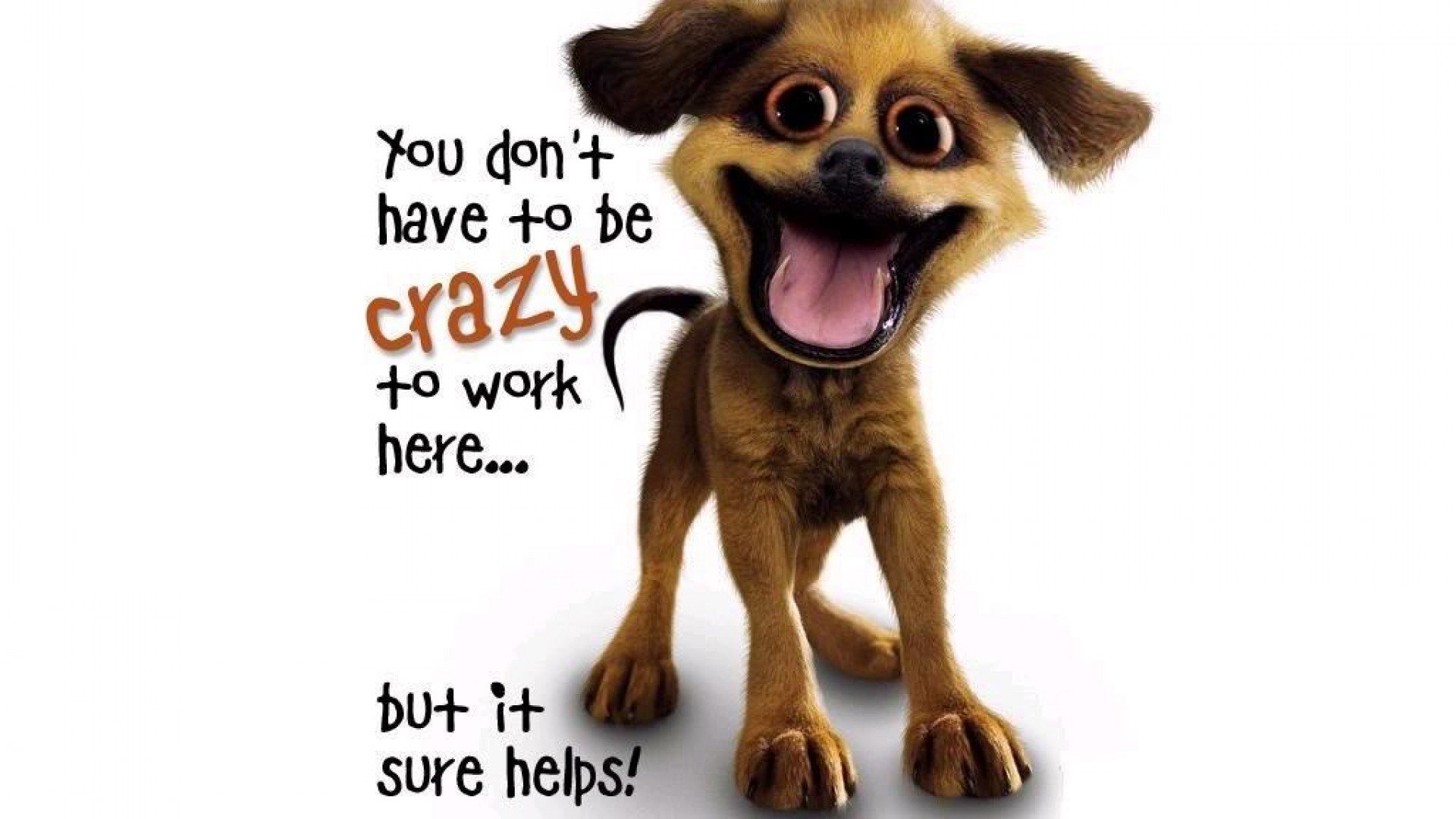 humor, Funny Wallpapers HD / Desktop and Mobile Backgrounds humor, Funny Wallpapers HD / Desktop and Mobile Backgrounds
