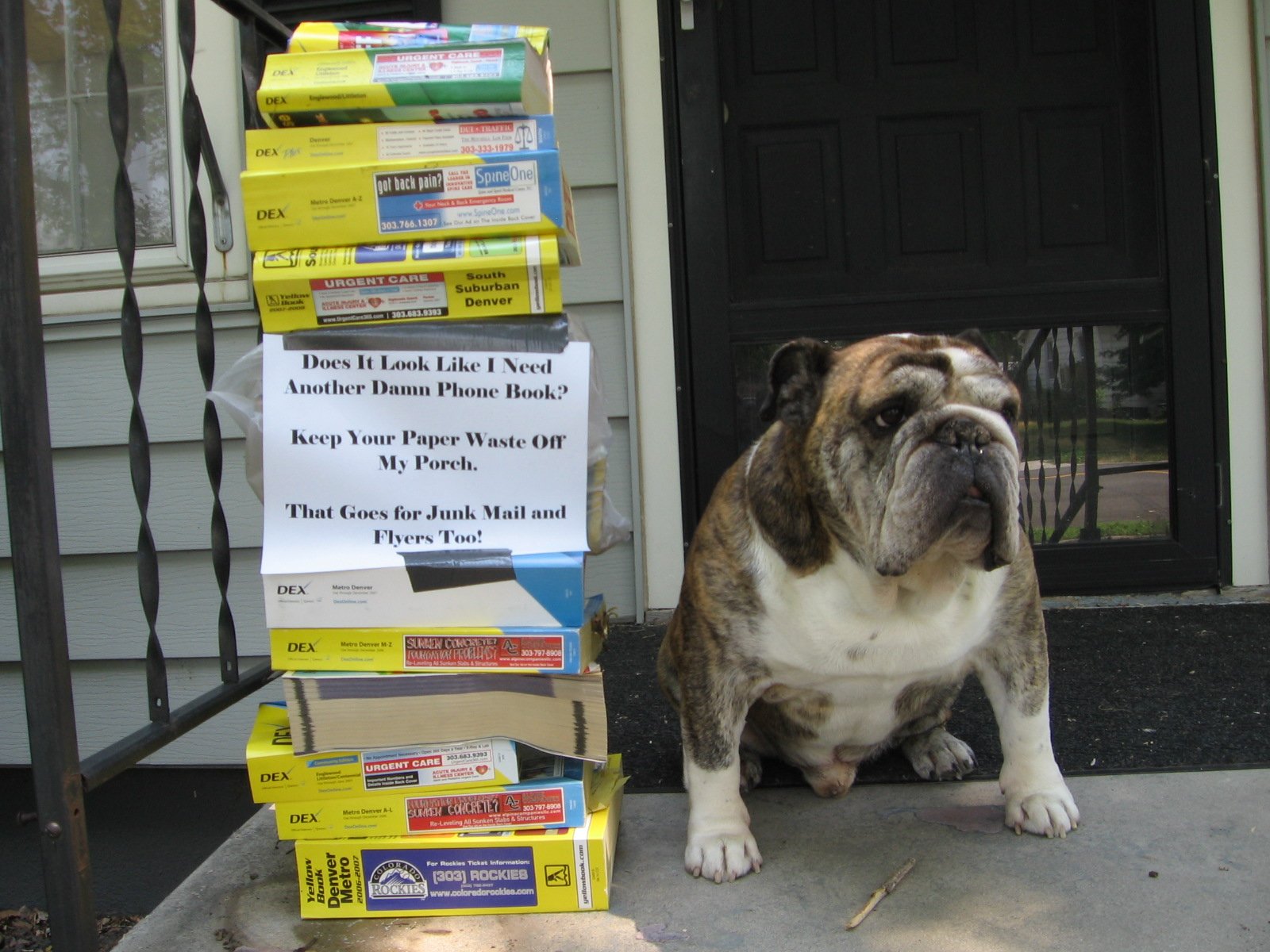 humor, Funny Wallpaper