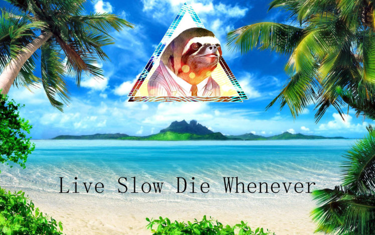 humor, Funny, Sloth, Islands, Ocean, Sea, Tropical, Palm, Trees, Quotes, Statement, Text HD Wallpaper Desktop Background