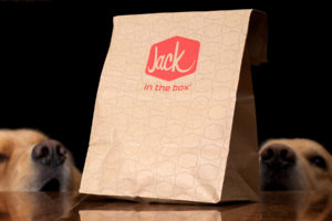 jack, In, The, Box, Dog, Bag, Humor