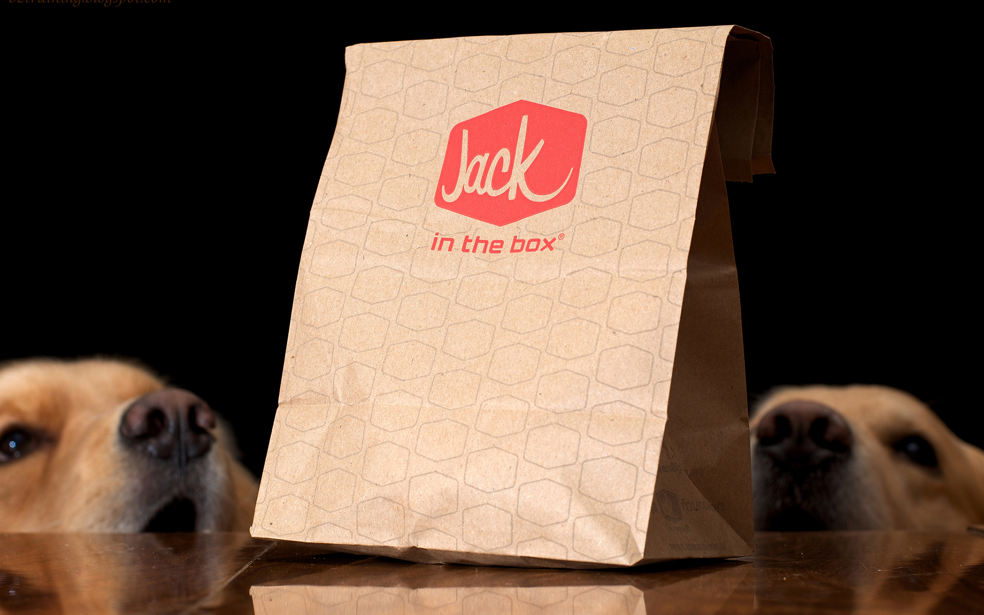 jack, In, The, Box, Dog, Bag, Humor Wallpaper