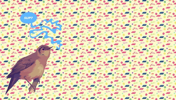 birds, Humor, Hello, Text HD Wallpaper Desktop Background
