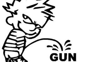 gun, Control, Weapon, Politics, Anarchy, Protest, Political, Weapons, Guns, Sadic, Calvin, Hobbes