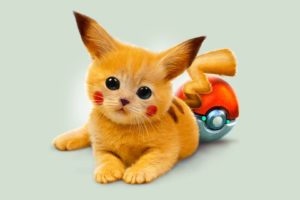 kitten, Red, Pokemon, Pikachu, Eyes, Art