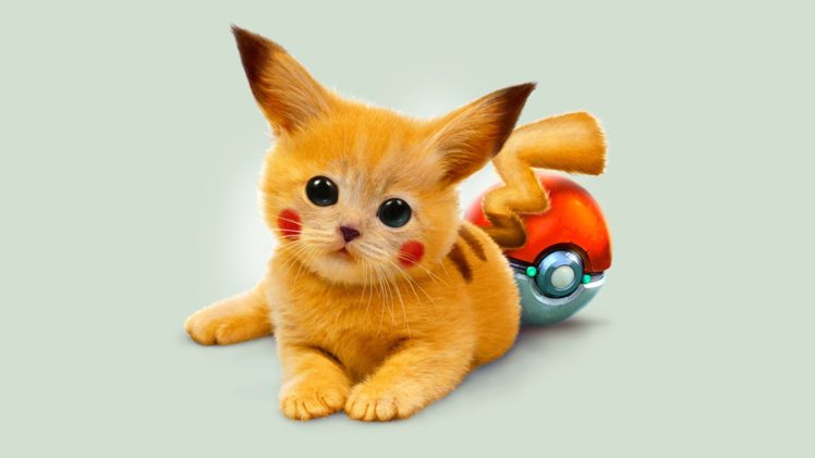 kitten, Red, Pokemon, Pikachu, Eyes, Art HD Wallpaper Desktop Background