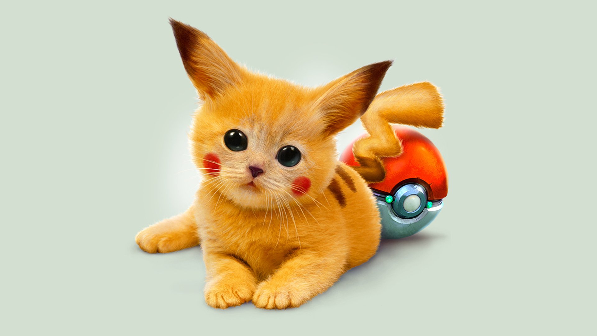 kitten, Red, Pokemon, Pikachu, Eyes, Art Wallpaper