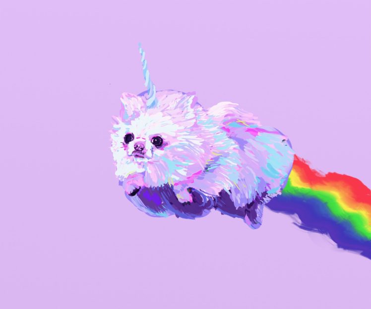 Pomeranian Dog Dogs Fantasy Unicorn Wallpapers Hd Desktop
