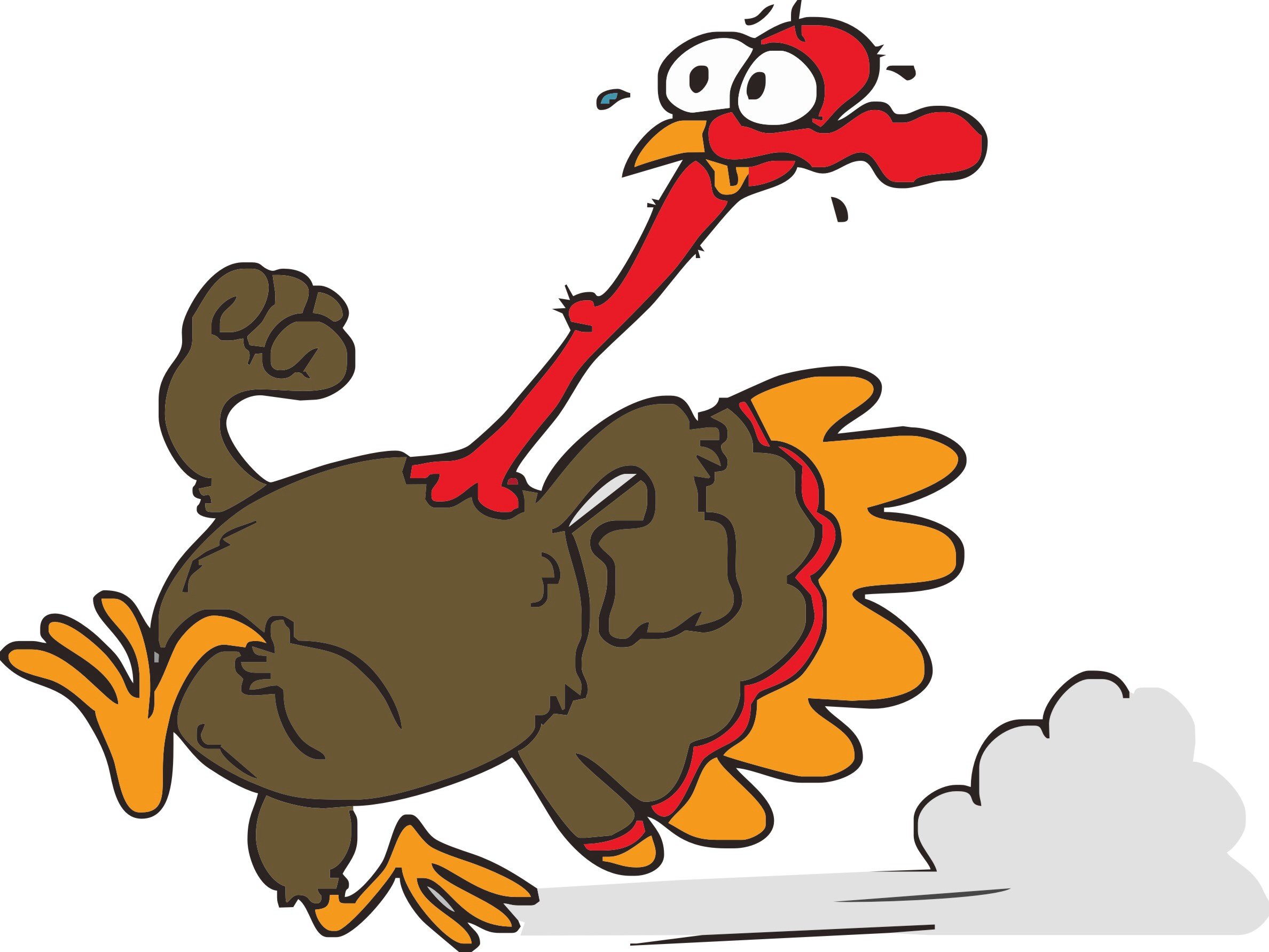 thanksgiving, Holiday, Turkey Wallpaper