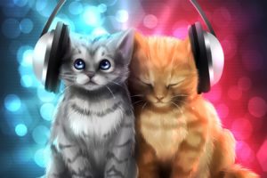 cats, Music