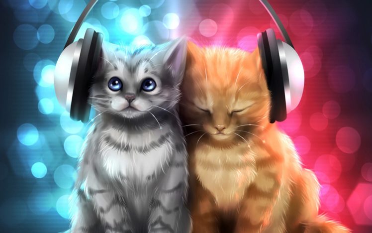 cats, Music HD Wallpaper Desktop Background