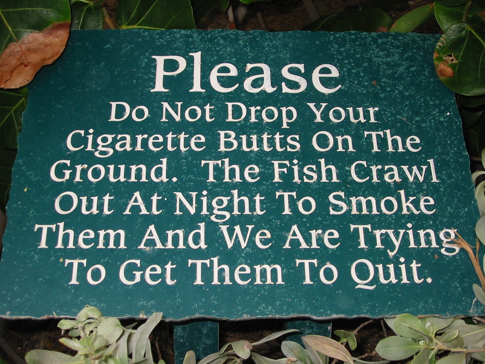 cigarette, Smoke, Smoking, Cigarettes, Tobacco, Cigars, Cigar, Poster Wallpaper