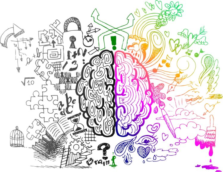 brain, Anatomy, Medical, Head, Skull, Psychedelic HD Wallpaper Desktop Background