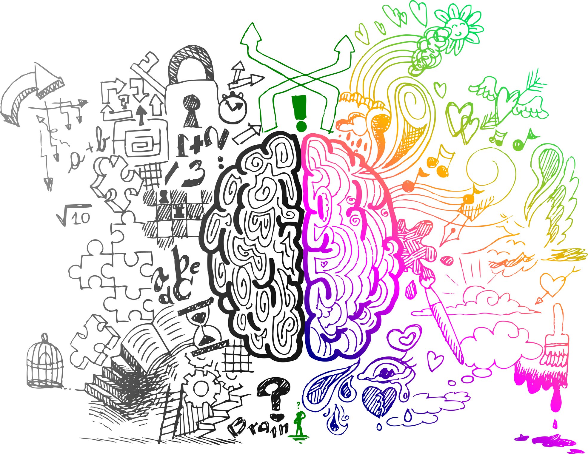 brain, Anatomy, Medical, Head, Skull, Psychedelic Wallpaper