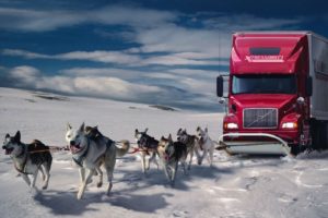 snow, Dogs, Trucks, Fantasy, Art, Digital, Art, Artwork