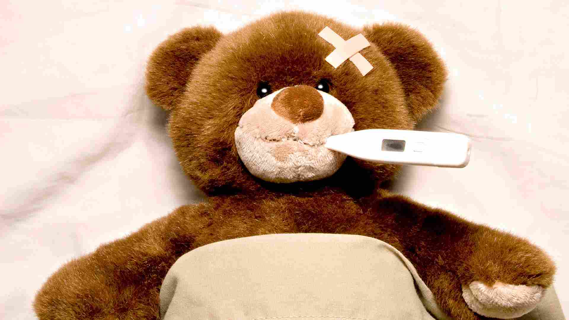 bear, Toy, Thermometer, Temperature, Teddy Wallpaper