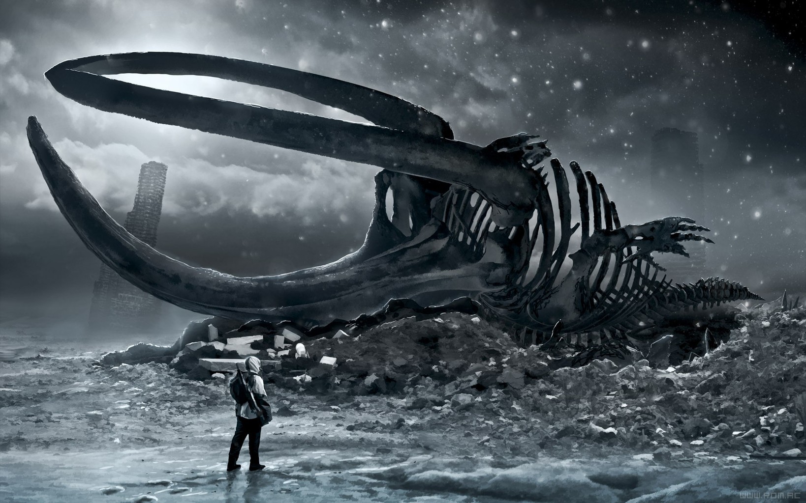 skeleton, Whale, Comics, Sci fi, Post, Apocalyptic, Romantically Wallpaper