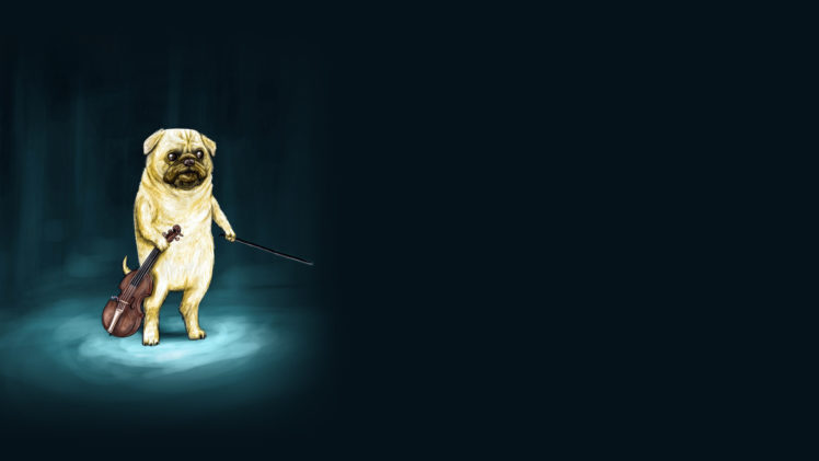 dog, Violin, Drawing, Wtf, Dogs, Humor, Funny, Music HD Wallpaper Desktop Background