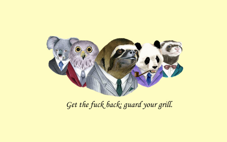 sloth, Suit, Wtf, Fuck, Owl, Koala, Panda, Weasel HD Wallpaper Desktop Background