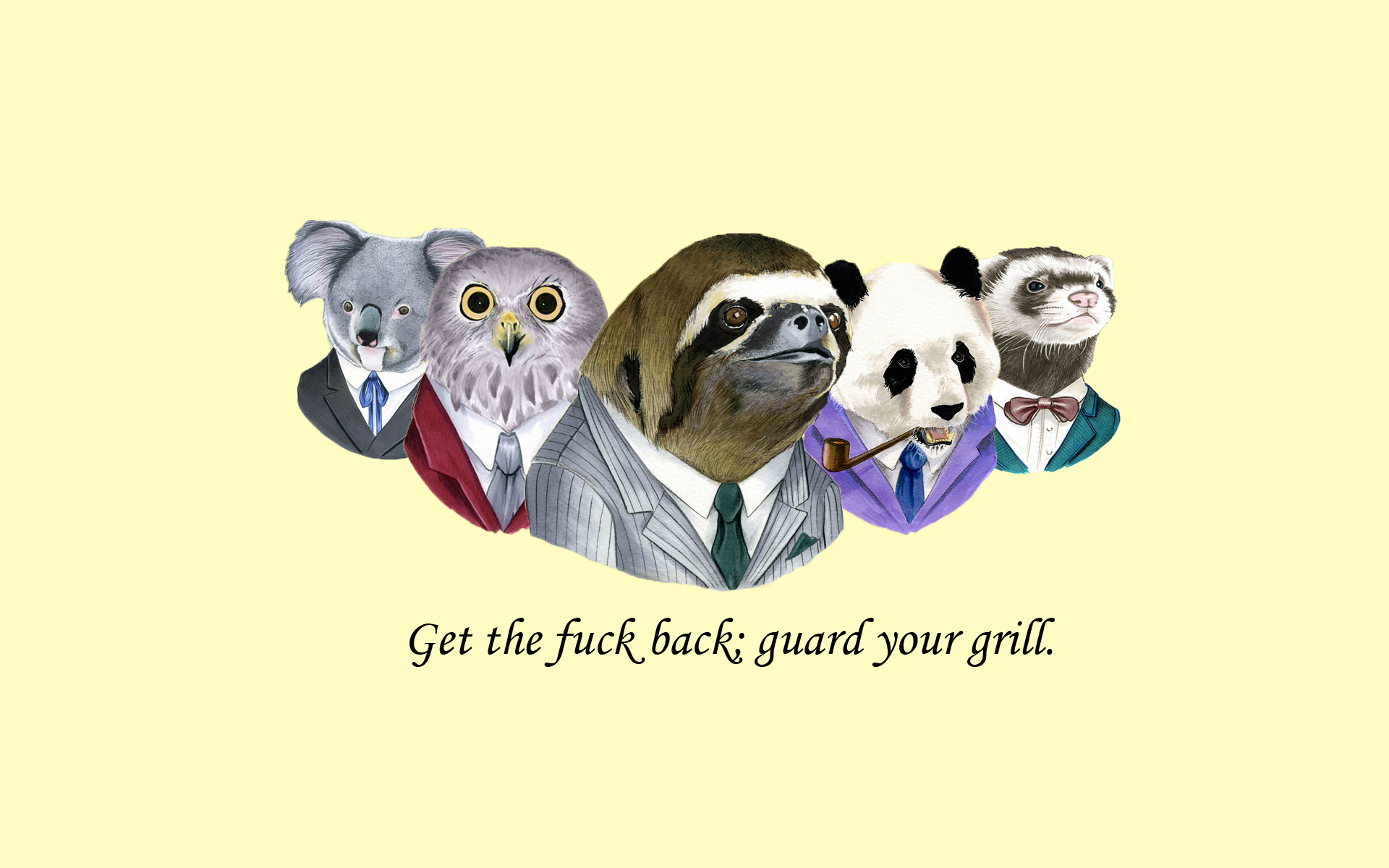 sloth, Suit, Wtf, Fuck, Owl, Koala, Panda, Weasel Wallpaper