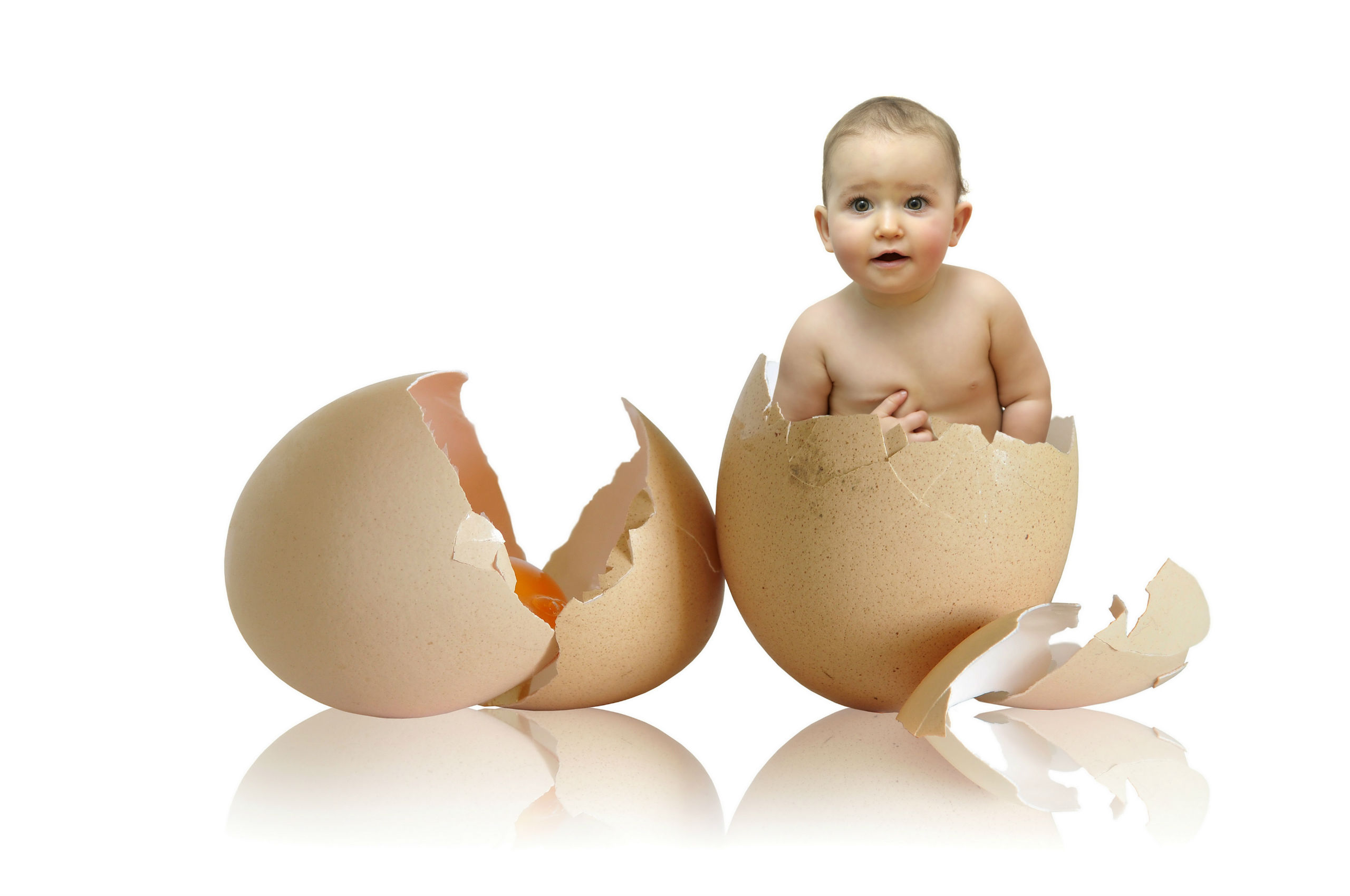 children, Eggs, Infants Wallpaper