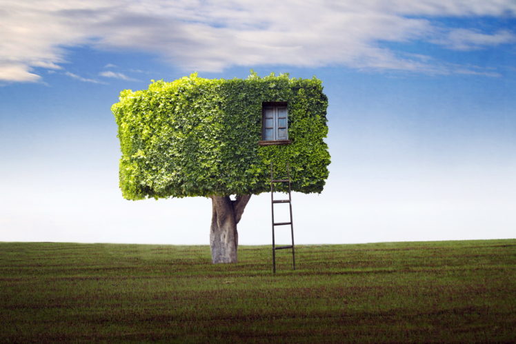 field, Tree, House, Ladder HD Wallpaper Desktop Background