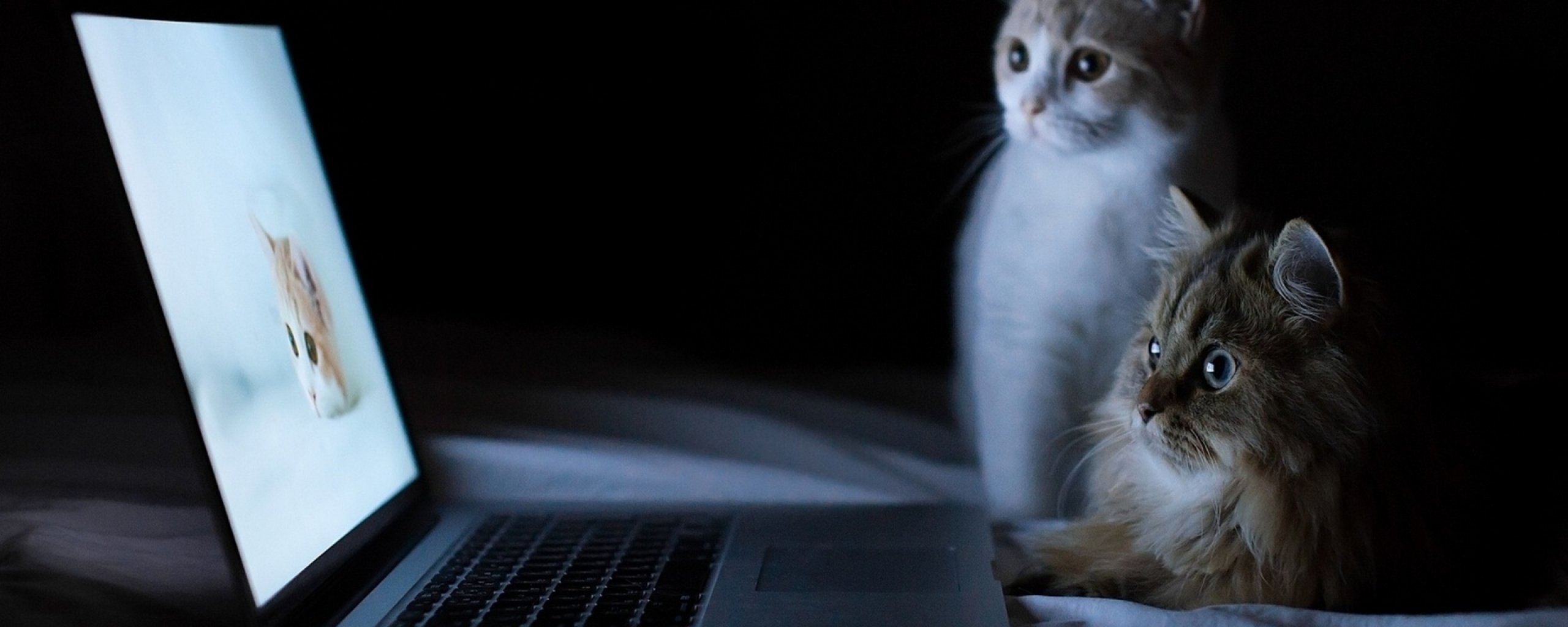 multi, Monitor, Dual, Screen, Widescreen Wallpaper